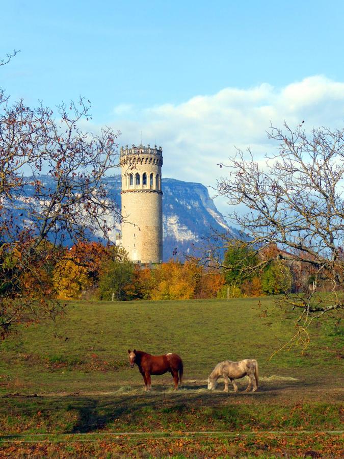Adal-Berht Apartment Saint-Maximin  Bagian luar foto